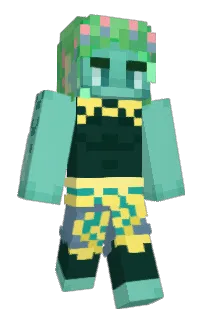 Front of FlowerCat6's skin