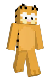 Front of fifteenagram's skin