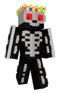 Front of YOUYIUY's skin
