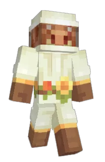 Front of Minecraft skin