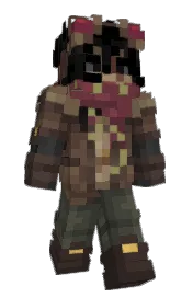 Skin preview