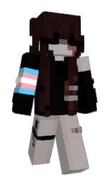 black and tamarind Minecraft skin — Slim model — first worn by FAMC69