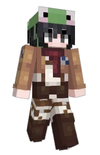 Front of Minecraft skin
