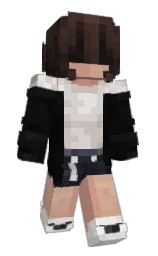 woodsmoke and cocoa brown Minecraft skin — Slim model