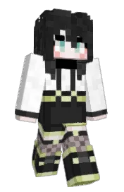 Skin preview