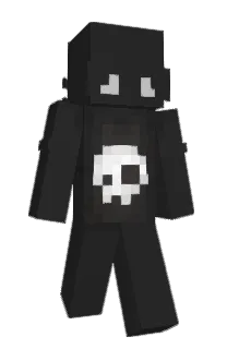 Front of fizzix's skin