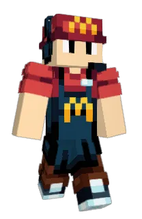 Front of PayLater's skin
