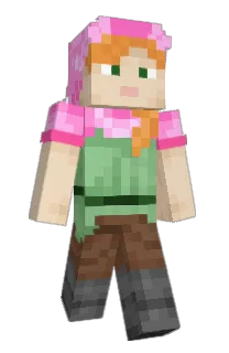 Front of SuburbanTransfer's skin