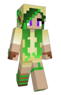 Front of Minecraft skin