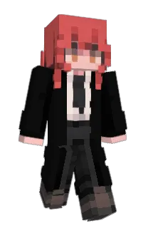 Front of roinnow's skin