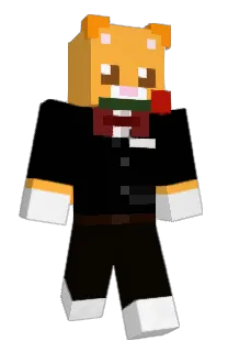 Front of estidae's skin
