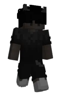 Front of niederstechen's skin
