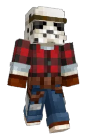 Skin preview
