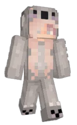 0_sunshine_0's Minecraft skin wearing the Migrator cape