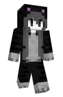Front of EA888's skin