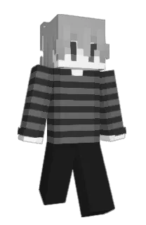 Front of wrq's skin