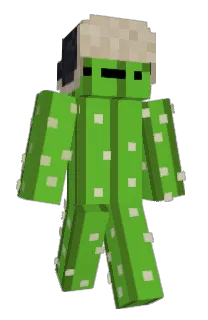 Front of realzvcx's skin
