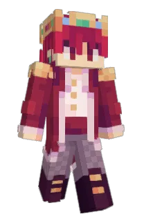 Front of Cr1tMc's skin