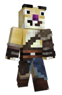 Front of Drollercaster's skin