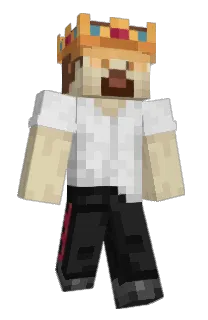 Front of 4IPSE's skin