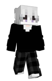 Front of Acciidia's skin