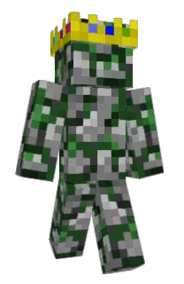 Front of enjoyden's skin