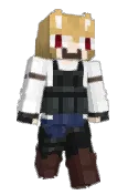 DogeMiner13