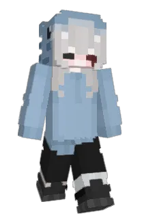 Front of Nwvs's skin