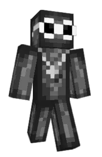 Front of prizn's skin