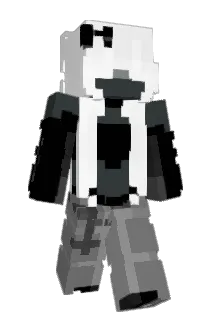 ebriection Minecraft avatar full body
