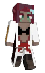 knight4light's Minecraft skin wearing the Migrator cape