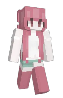 chixsj's Minecraft skin