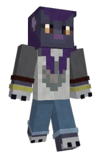 Front of IAmZeMedic's skin