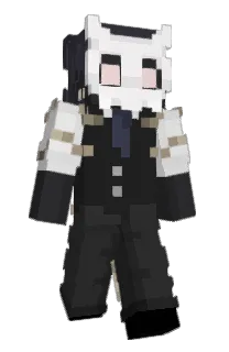 Front of DamiPhantom3's skin