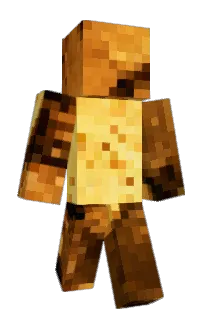 Front of bepe's skin