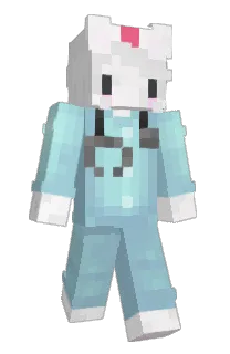 Front of y418's skin