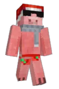 sellmylungs