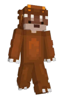 Front of jmaib's skin