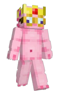 Front of AxoolRem's skin