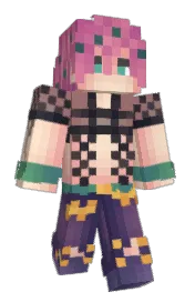 Skin preview