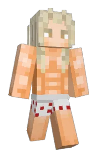 Front of TAIWANnorman's skin