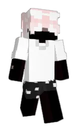 HKQQ's Minecraft skin wearing the Migrator cape