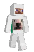 lebronyJames