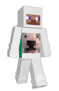 Front of lebronyJames's skin