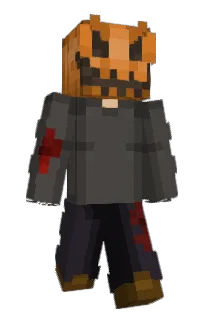 Front of KOITRON's skin