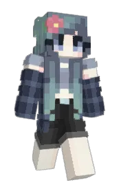 Skin preview