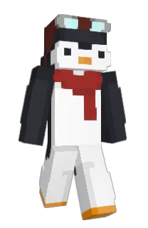 Front of pboblo's skin
