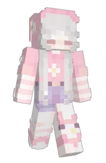 Front of AcuPid's skin
