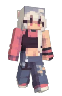 Front of Netzto's skin
