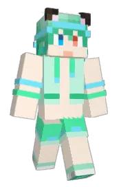 Skin preview